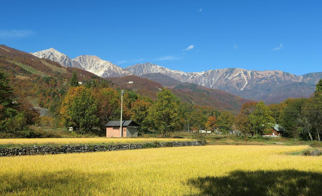 Pension Agi Hakuba Exteriör bild