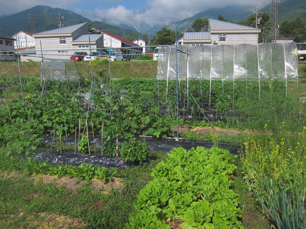 Pension Agi Hakuba Exteriör bild